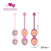 Afbeelding van FeelzToys - FemmeFit Bekkenspier Training Set 3 st