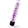 Glossy Lenny Purple Vibrator