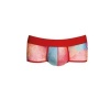 Anais Men Falcon Boxer Brief S
