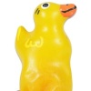Condomerie Handpainted Novelty Condoms Duck