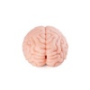 Afbeelding van XTC Japan – Brain Hacker DX Masturbator – Peach