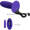 Pretty Love Youth Plug Anal Vibrator Remote Violet