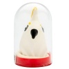 Condomerie Handpainted Novelty Condoms Parrot White