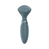 Satisfyer Mini Wander Grey