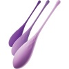 Fantasy For Her Kegel Trainer Set