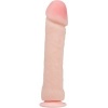 Baile Big Penis Realistic Dildo 26 CM