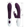 Pretty Love Naughty Bunny Rabbit Vibrator - Purple