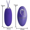 Pretty Love Jenny Violet Vibrating Egg Remote Control