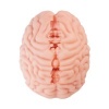 Afbeelding van XTC Japan – Brain Hacker DX Masturbator – Peach
