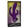 Calexotics Long Beach Bootylicious Purple