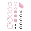 Afbeelding van LOCKDOWN - Chastity Cage Small - Roze
