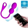 Pretty Love Elvira Purple Rechargeable Vibrating Balls
