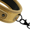 Fetish Submissive Neoprene Collar with Chain