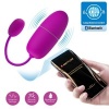 Pretty Love Nymph Purple Vibrating Egg App Controlled