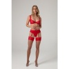 Afbeelding van Christine - 3-delige Bh-set Marzia rood