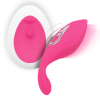 Intense Rob Remote Control Panty Vibrator Pink