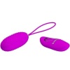 Pretty Love Joanna Vibrating Egg Remote Control 12-Mode