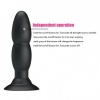 Plug Vibrator And Rotation By Remote Control