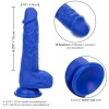 Calexotics Admiral Sailor Vibrator Blue