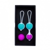 Pretty Love Hegel Kegel Balls Set
