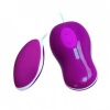 Pretty Love Flirtation Avery Vibrating Egg Remote