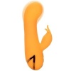 California Dreaming Montecito Muse Rabbit Orange