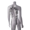 Afbeelding van Sportsheets - Edge Body Zipper Clothes Pins - Zilver