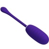 Pretty Love — Kirk Rechargeable Vibrating Egg Purple
