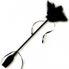 Secretplay Black Whip and Feather