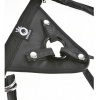 Pipedreams King Cock Fit Rite Harness