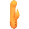 California Dreaming Montecito Muse Rabbit Orange
