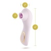 Afbeelding van Blush - Delice Fleur Luchtpulserende Vibrator - Barely Purple