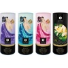 Shunga Exotic Fruits Bath Salts 500GR