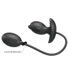 Pretty Love Delfin Inflatable Rechargeable Plug