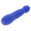 Afbeelding van Evolved - Disco Diva Vibrator - Blauw