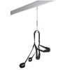 Pipedreams Black Fantasy Swing