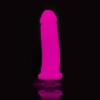 Afbeelding van Clone-A-Willy Kit - Glow-in-the-Dark - Fel Roze