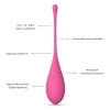 Leslie Kegel Fit 6 Weights Pelvic Trainer