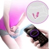 Pretty Love Elvira Pink Rechargeable Vibrating Balls