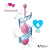 Afbeelding van FeelzToys - FemmeFit Bekkenspier Training Set 3 st