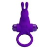 Pretty Love Purple Rabbit Vibrator Ring