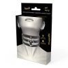 Coquette Chic Desire Fetish Vegan Leather Choker