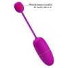 Pretty Love Nymph Purple Vibrating Egg App Controlled