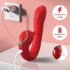 Armony Delfin Vibrator Multiposition Heat Red