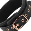 Coquette Chic Desire Fantasy Vegan Collar with Leash