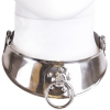 Metal Hard Restraint Collar with Ring
