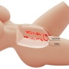 Crazy Bull Lily Female Torso Realistic Masturbator 4kg