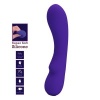 Pretty Love Prescott Rechargeable Vibrator Purple