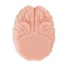 Afbeelding van XTC Japan – Brain Hacker DX Masturbator – Peach