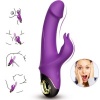 Armony Meteror Dildo Vibrator Rabbit Purple